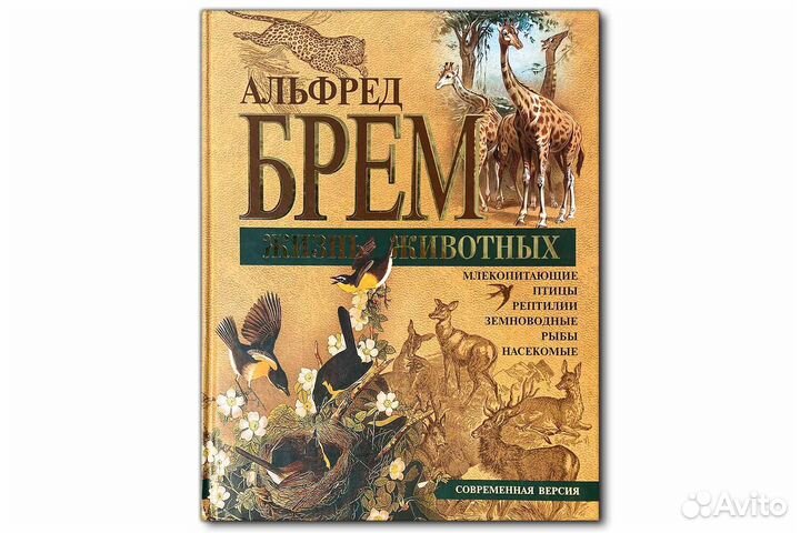 Альфред Брем 