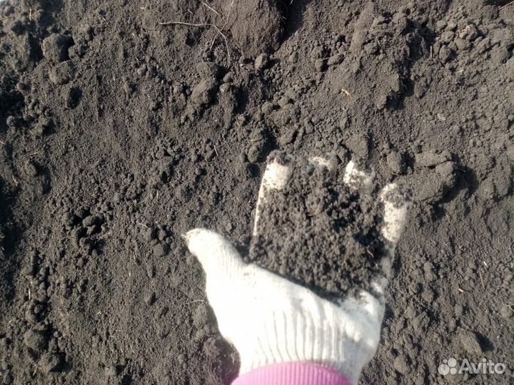 Чернозем земля плодородная