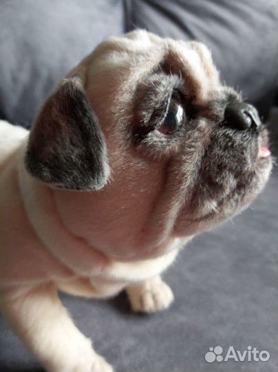 Мопс игрушка
