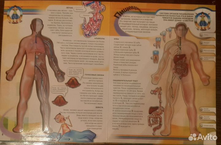 Книга ,Тело человека