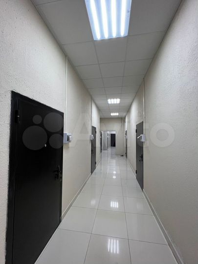 Цоколь с ремонтом и арендатором. Собственник