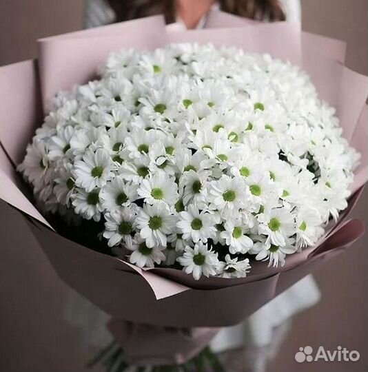 Хризантема Букеты с доставкой