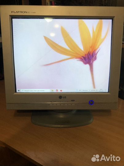 Монитор LG