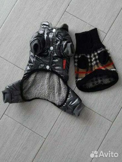 Комбинезон для маленькой собачки