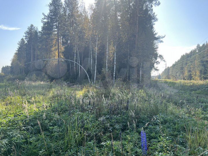 Участок 8,5 сот. (ИЖС)