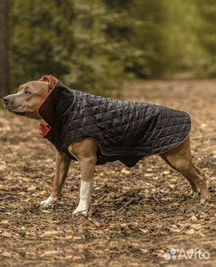 Попона для собак комбинезон