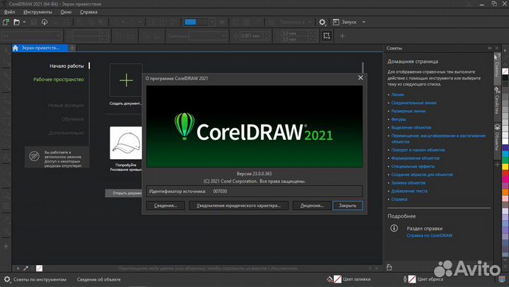 Coreldraw Graphics Suite 2022