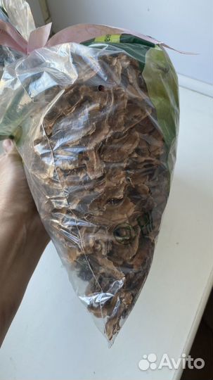 Перегородки грецкого ореха