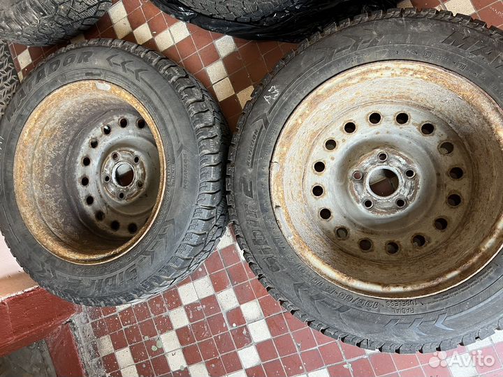 Matador MP 51 Sibir 2 195/65 R15