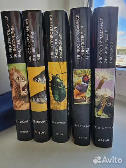 Иллюстрированная энциклопедия