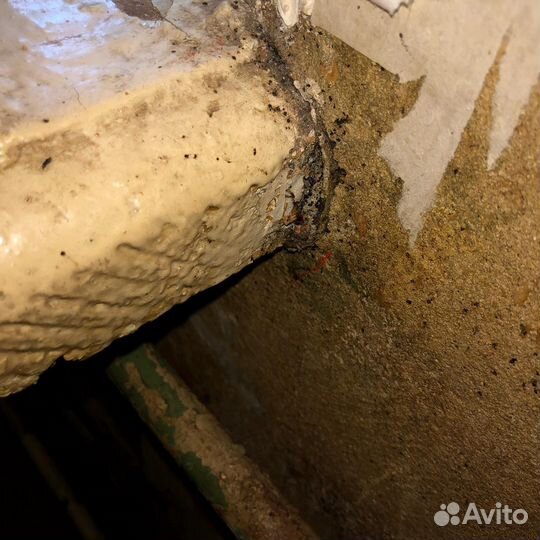 Уничтожение клопов и тараканов