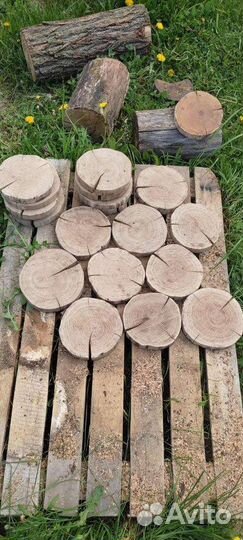 Торцевые спилы деревьев