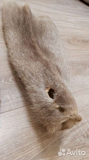 Шкуры норки и нутрии