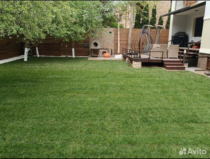 Рулонный газон Стандартный