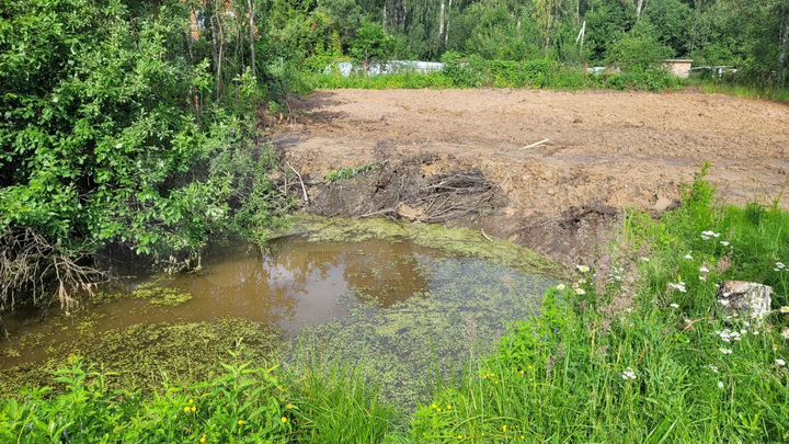 Участок 8,2 сот. (СНТ, ДНП)