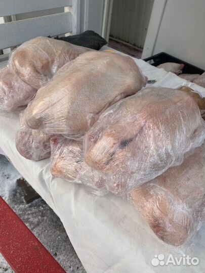 Утки мулард