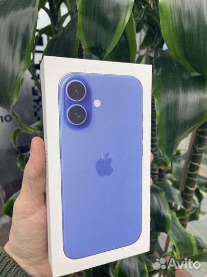 iPhone 16 Plus, 256 ГБ
