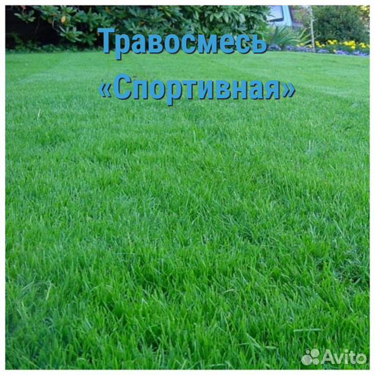 Газонные смеси с бесплатной доставкой по Крыму