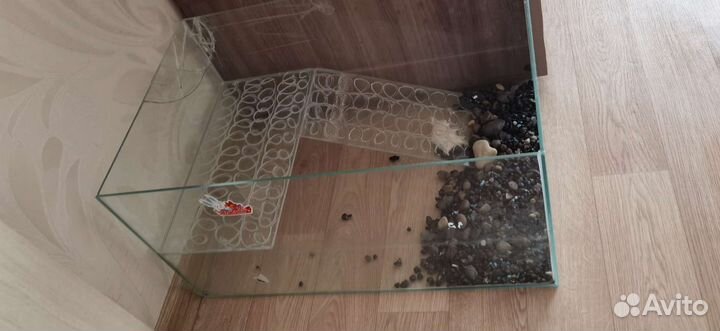 Аквариум Террариум