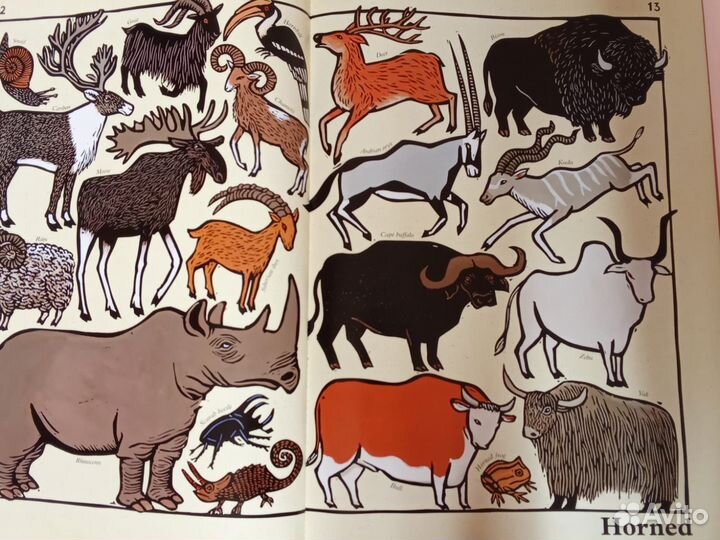 Английская книга, большая-Все виды животных с опис