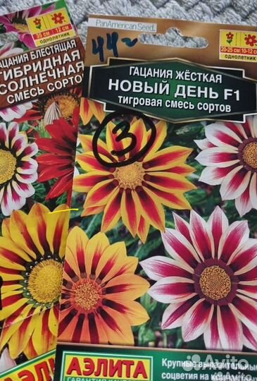 Рассада однолетних цветов
