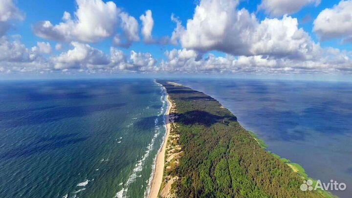 Экскурсии по Калининграду, Калининградской области