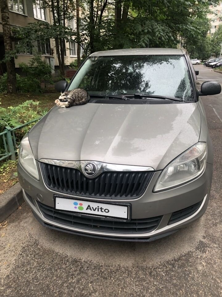 Skoda Fabia: фото владельца