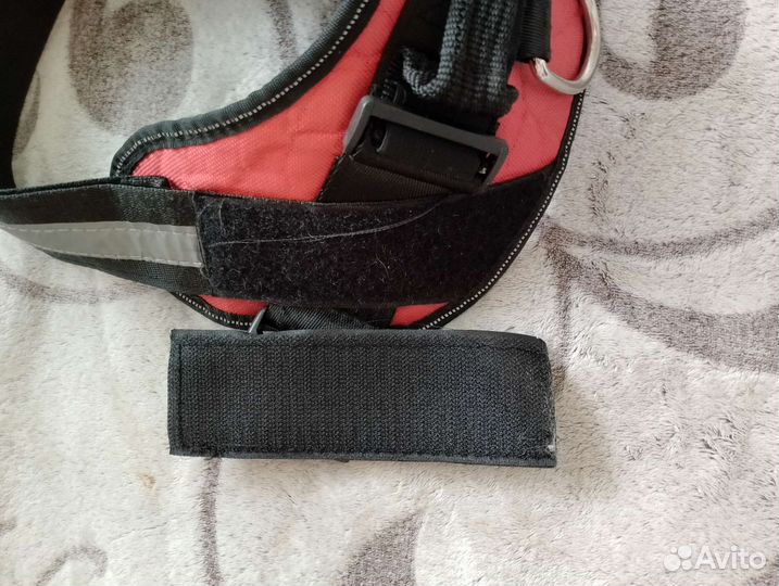 Шлейка для собаки