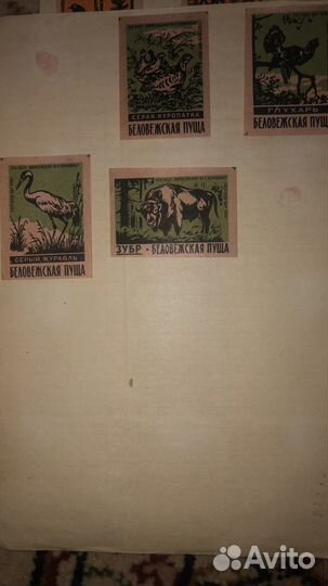 Этикетки спичечных коробков