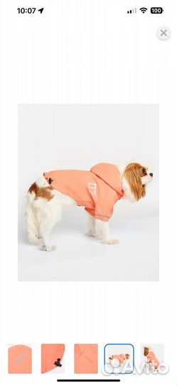 Куртка дождевик для собак средних пород