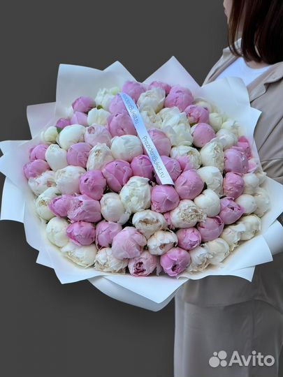 Пионы 11, 15шт, 101шт, 51шт