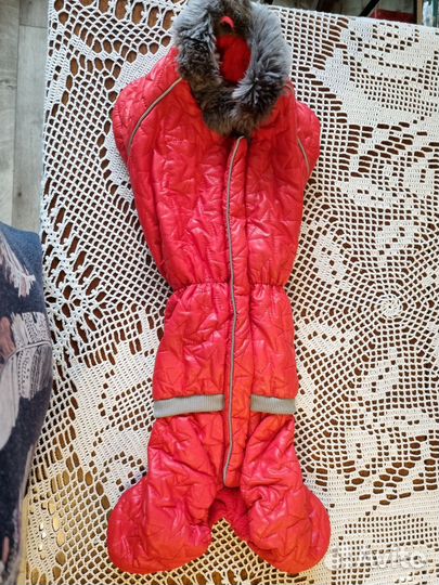 Зимний комбинезон для таксы (девочка)