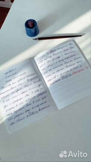 Учитель начальных классов (репетитор)