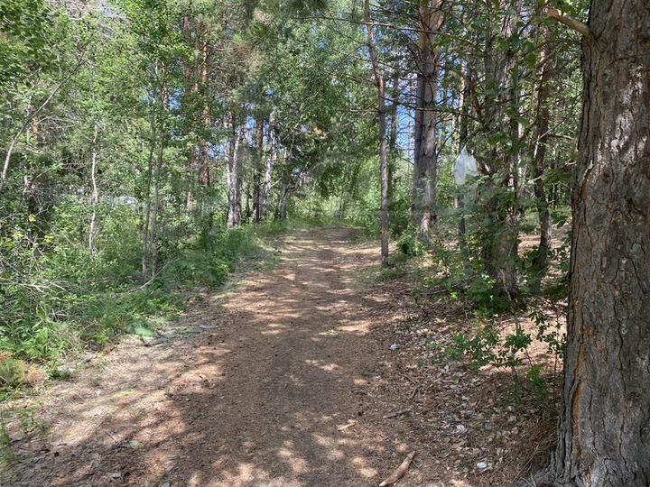 Участок 10 сот. (ИЖС)