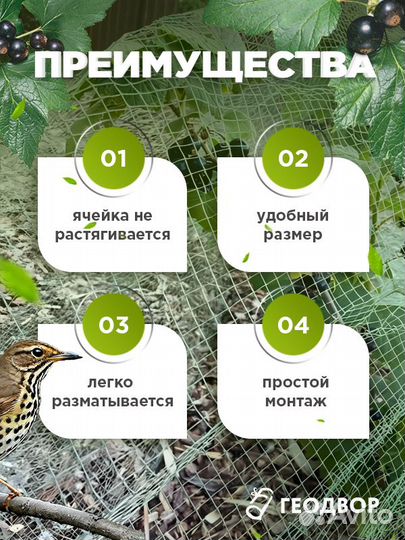 Сетка для сада