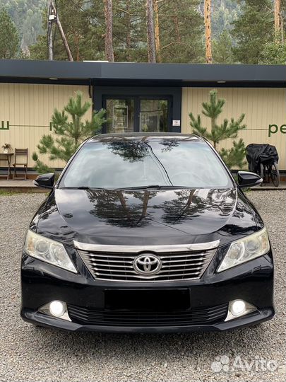 Трансфер, встреча из аэропорта, экскурсия, гид