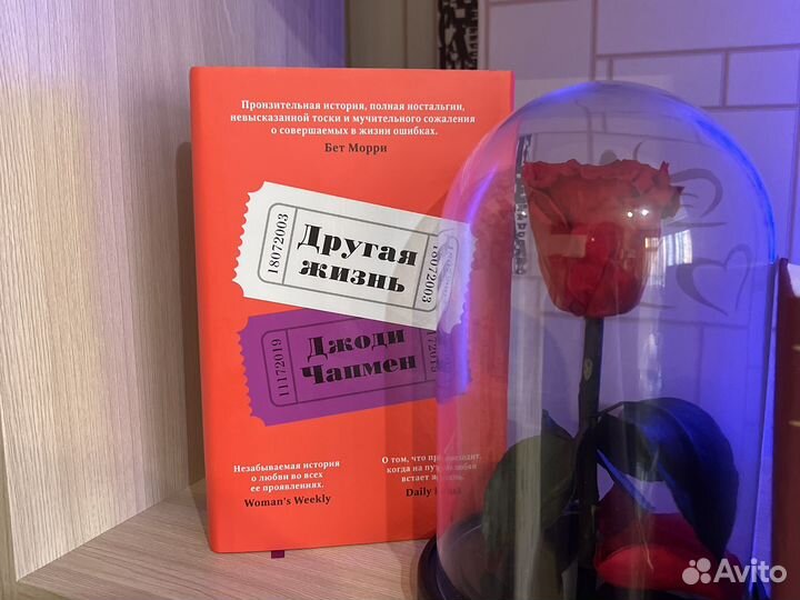 Джоди Чапмен - Другая жизнь