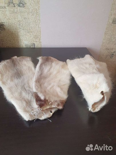 Шкурка животного