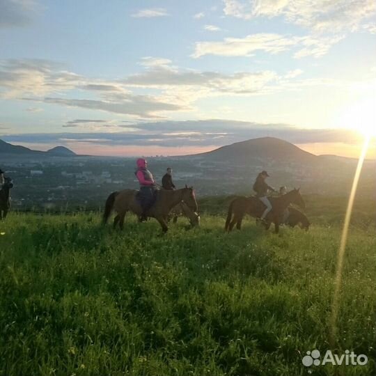 Конная прогулка