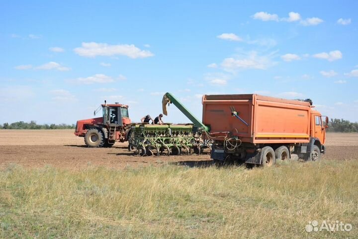 Загрузчик сеялок ЗУС С, 2024