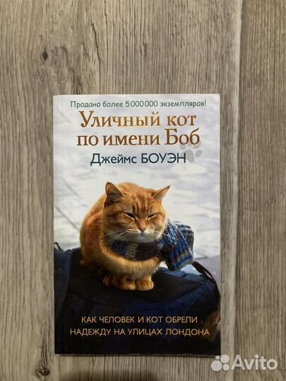 Уличный кот по имени Боб
