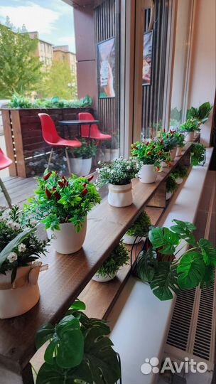 Кафе +доставка суши