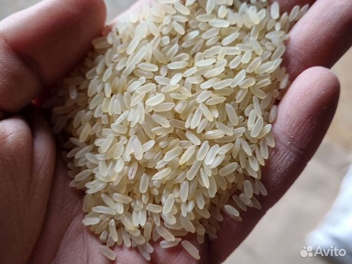 Рис для животных во Владимире