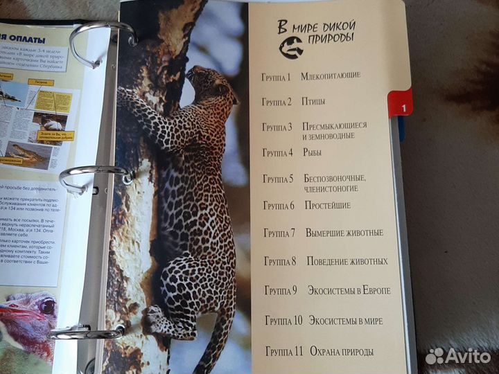 Энциклопедия В мире дикой природы