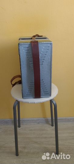 Гармонь маричка