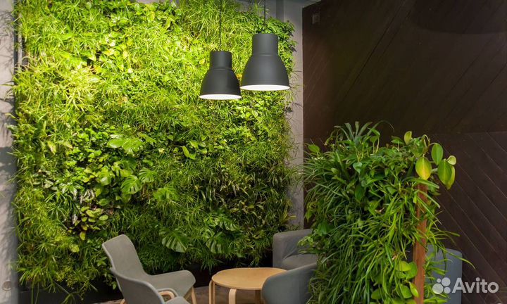 Фитостена из растений, озеленение под ключ