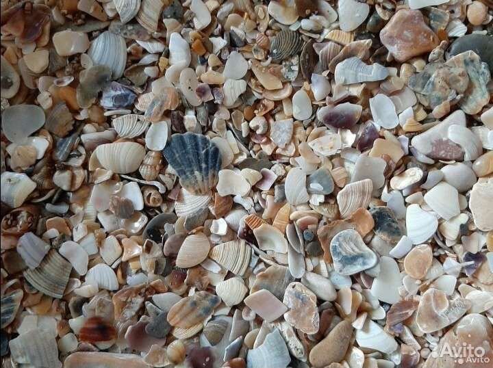 Грунт для аквариума ракушки