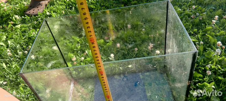 Террариум или аквариум