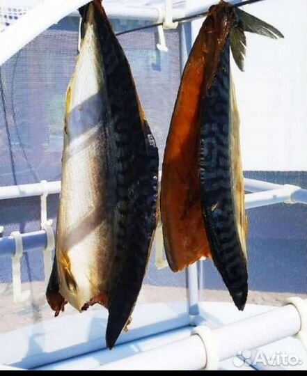 Сушилки для мяса и рыбы