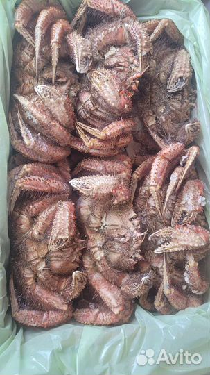 Краб Волосатик